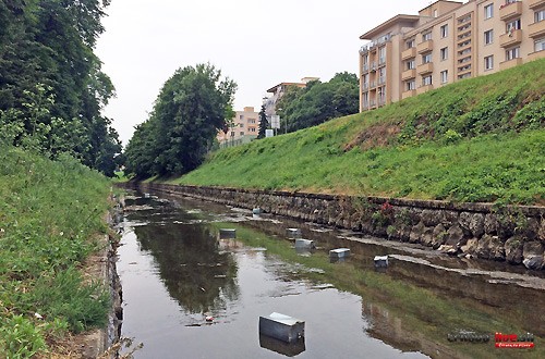 kose-trnavka2