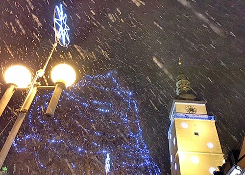 veza