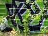 botanicka-graffiti-2012-4