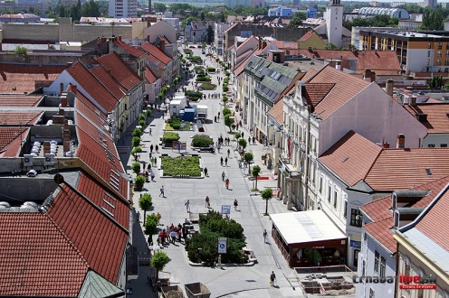 pesia-zona-trnava