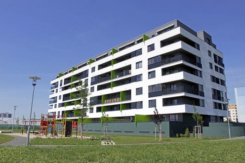arboria-3