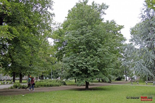 ihrisko-park