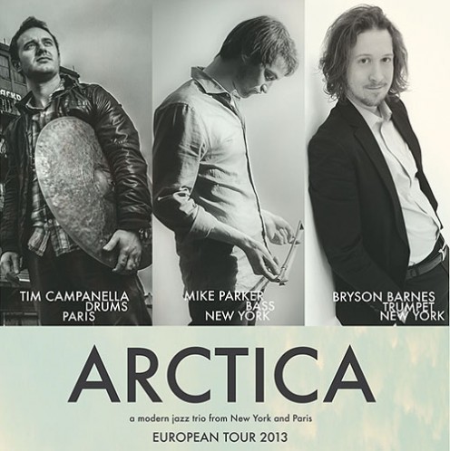 arctica