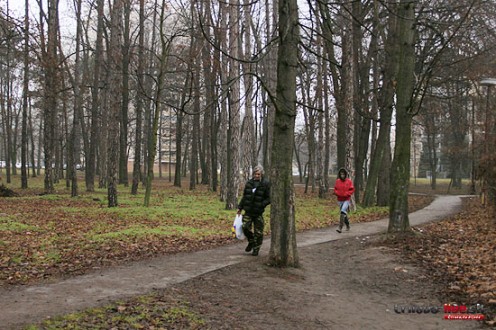 chodnik-park