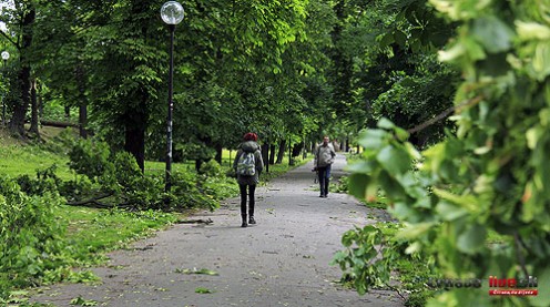 promenada-t