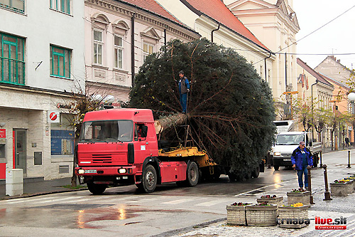 vianocny-strom-prevoz
